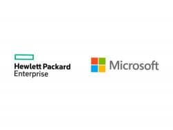 HPE HPE Microsoft WS 2025 RDS 50Dev CAL WW LTU P77123-B21